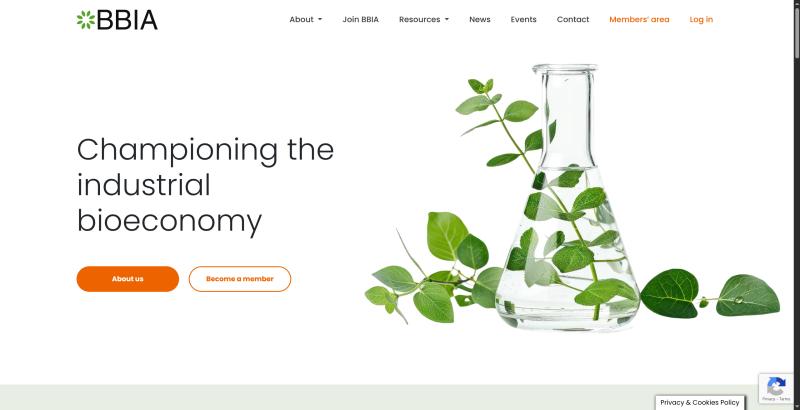 Website for BBIA teaser